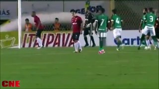 23.Goiás 1 x 1 Brasil de Pelotas - Gols & Melhores Momentos - Brasileiro Série B 2017