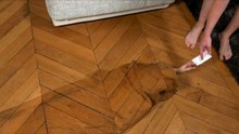Comment se coucher plus tard certains soirs  - Les Tactiques d'Emma, ta webs�
