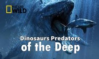 Dinosaurs Predators of the Deep