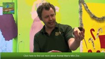 Animal Man Mini Zoo Nursery Visit23423423weeegow _ Childrens Parties