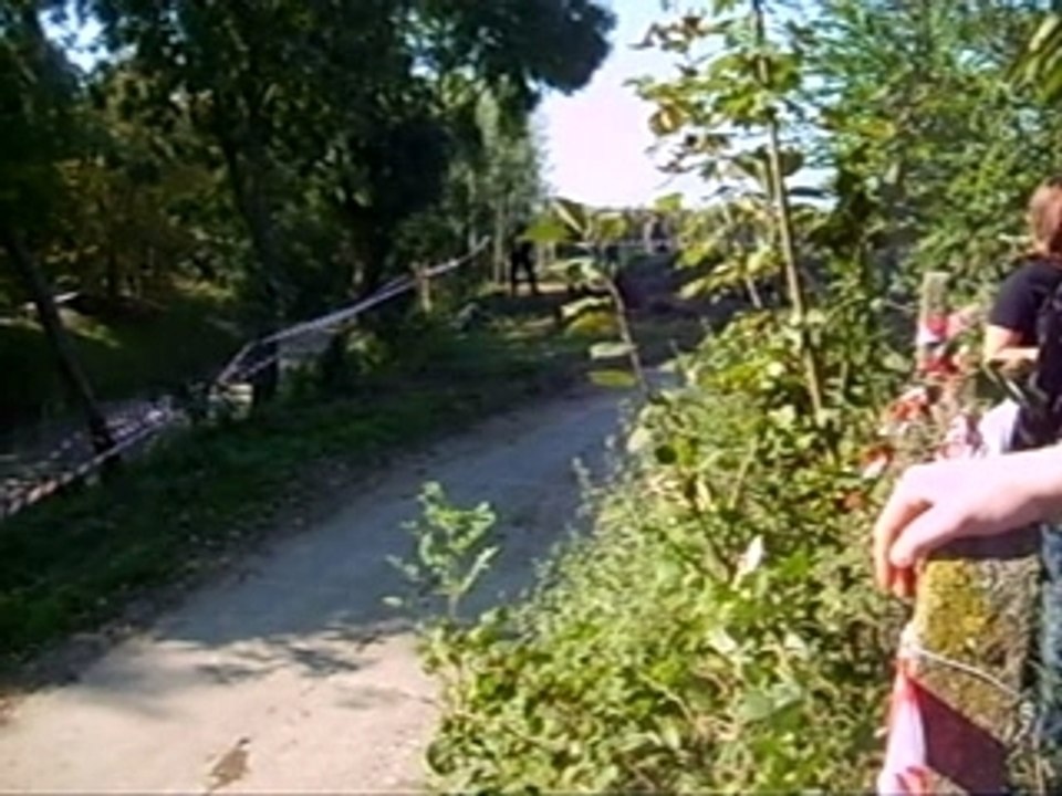 Rally van Haspengouw Van Woensel