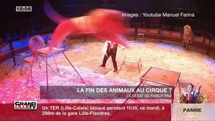 La fin des animaux au cirque?