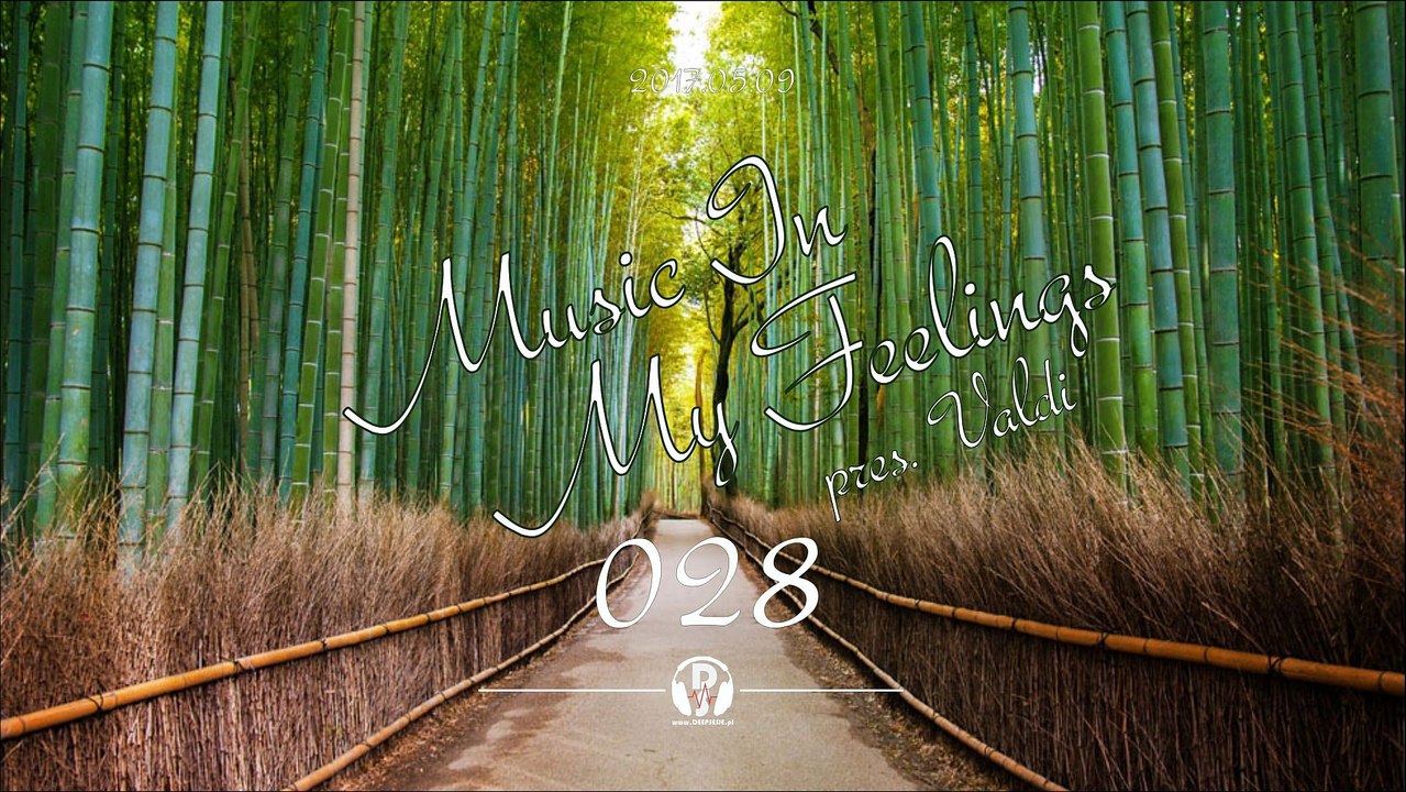 Valdi pres. Music In My Feelings 028