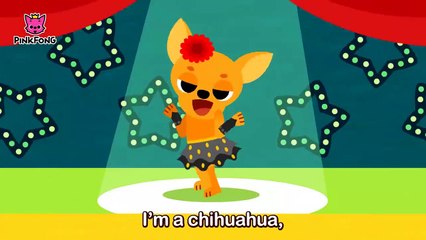 Animal Rhythms _ Animal Songs _ PINKFONG Songs for Children-htgHrCrSAUA
