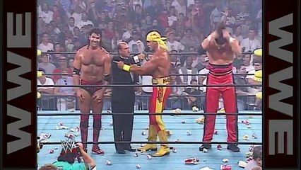 Hulk Hogan & NWO