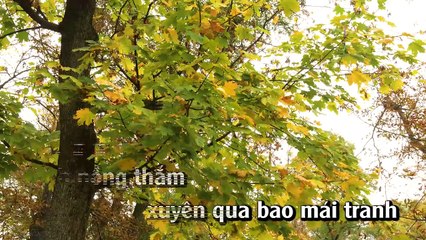 Karaoke - Tình Thắm Duyên Quê - Nhạc Sống Hay Nhất 2017 - Organ Minh Công