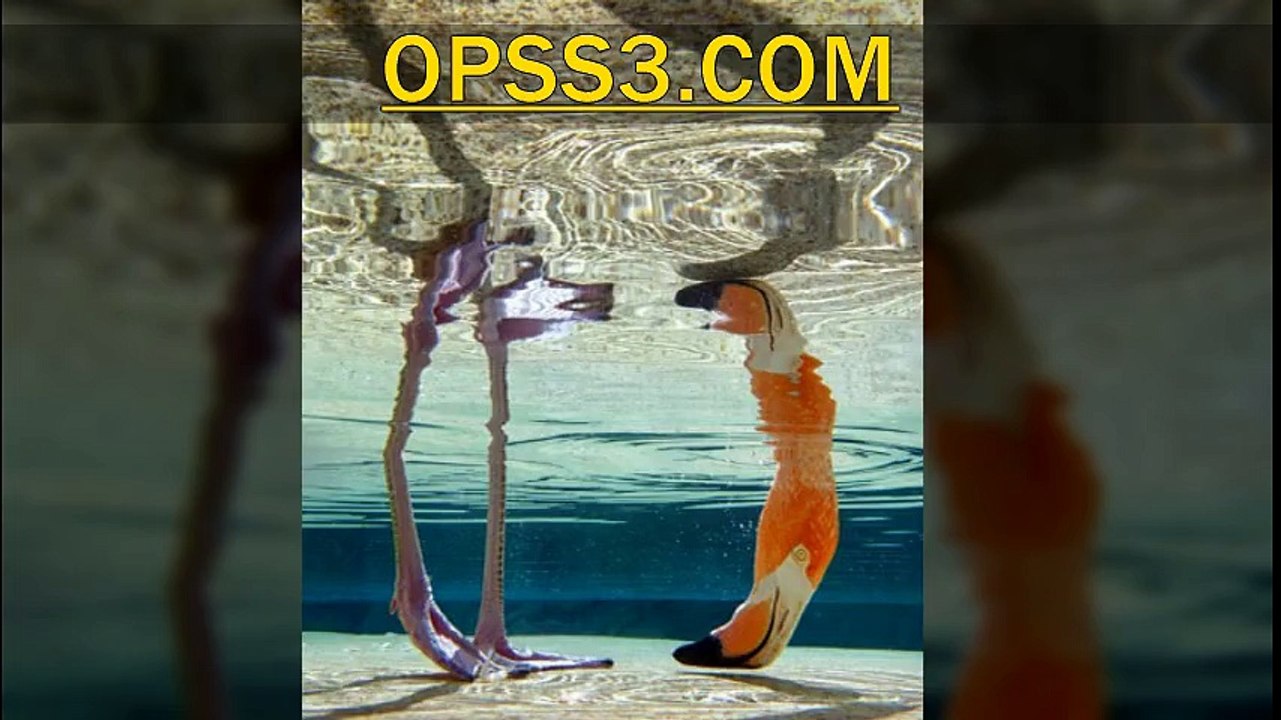 Unique Shots 세종오피 OPSS3.COM 오피쓰 세종건마