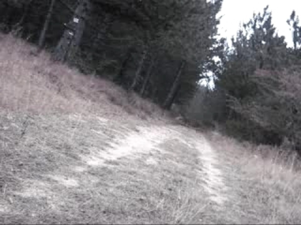 Piloubeau