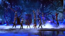 AcroArmy - Acrobats Fly Higher Than a Tree Topper - America's Got Tale