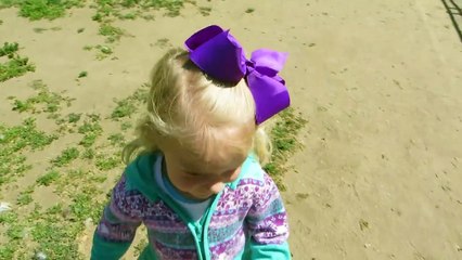 Animal Farm with Peacocks