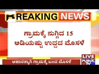 Alamatti Dam Completely Dried, Crocodile Enters Hole Hangaragi Village