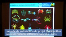 Expédition Madibenthos : des élèves de l'académie de Créteil présentent leurs projets de préservation de la biodiversité