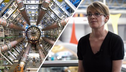 Différence entre boson et champ de Higgs