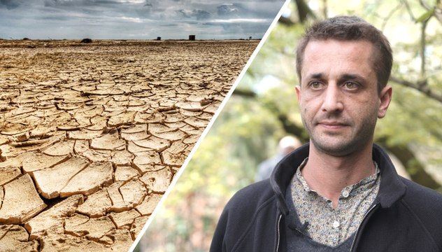 Quel est l’impact du réchauffement climatique sur les insectes ?