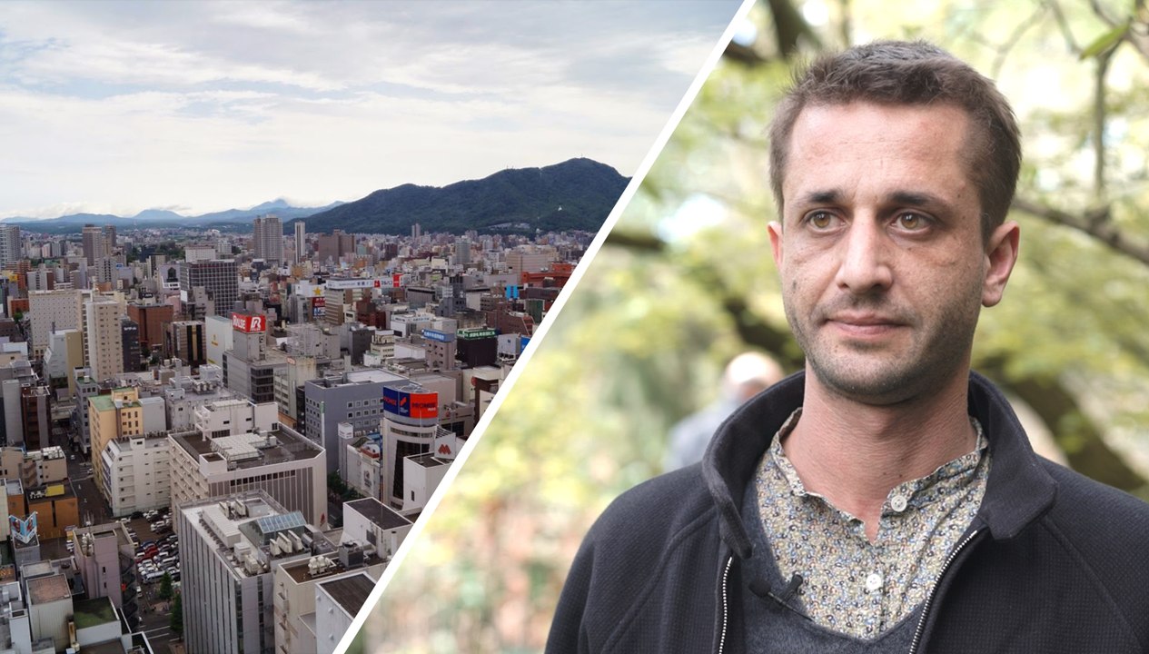 Quels effets l’urbanisation a-t-elle sur les insectes pollinisateurs ?