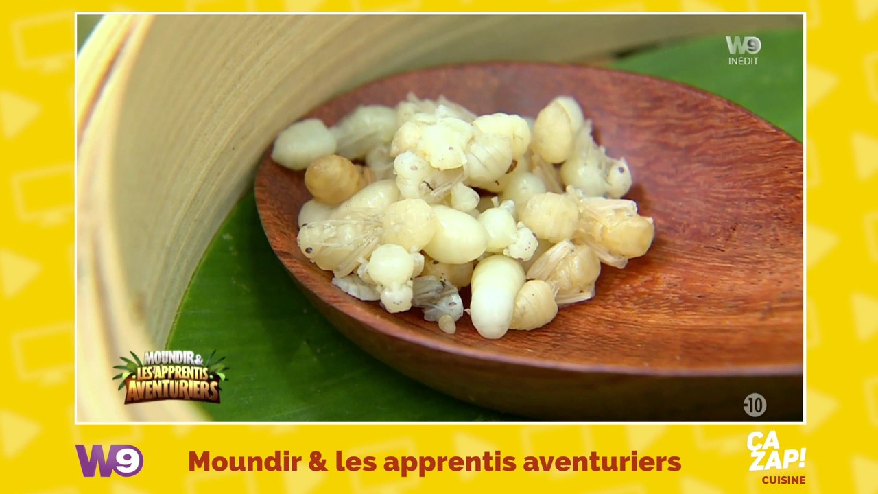 Ils sont obligés de manger... des oeufs de fourmi !