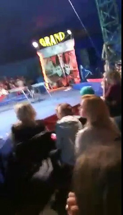 Un ours de cirque saute sur les spectateurs venus assister à la représentation