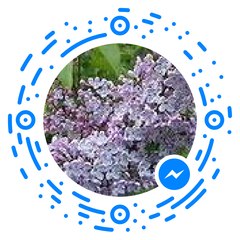 Best FAILS & Funny Videos ★ September 2016 Compilation ★ FailCity