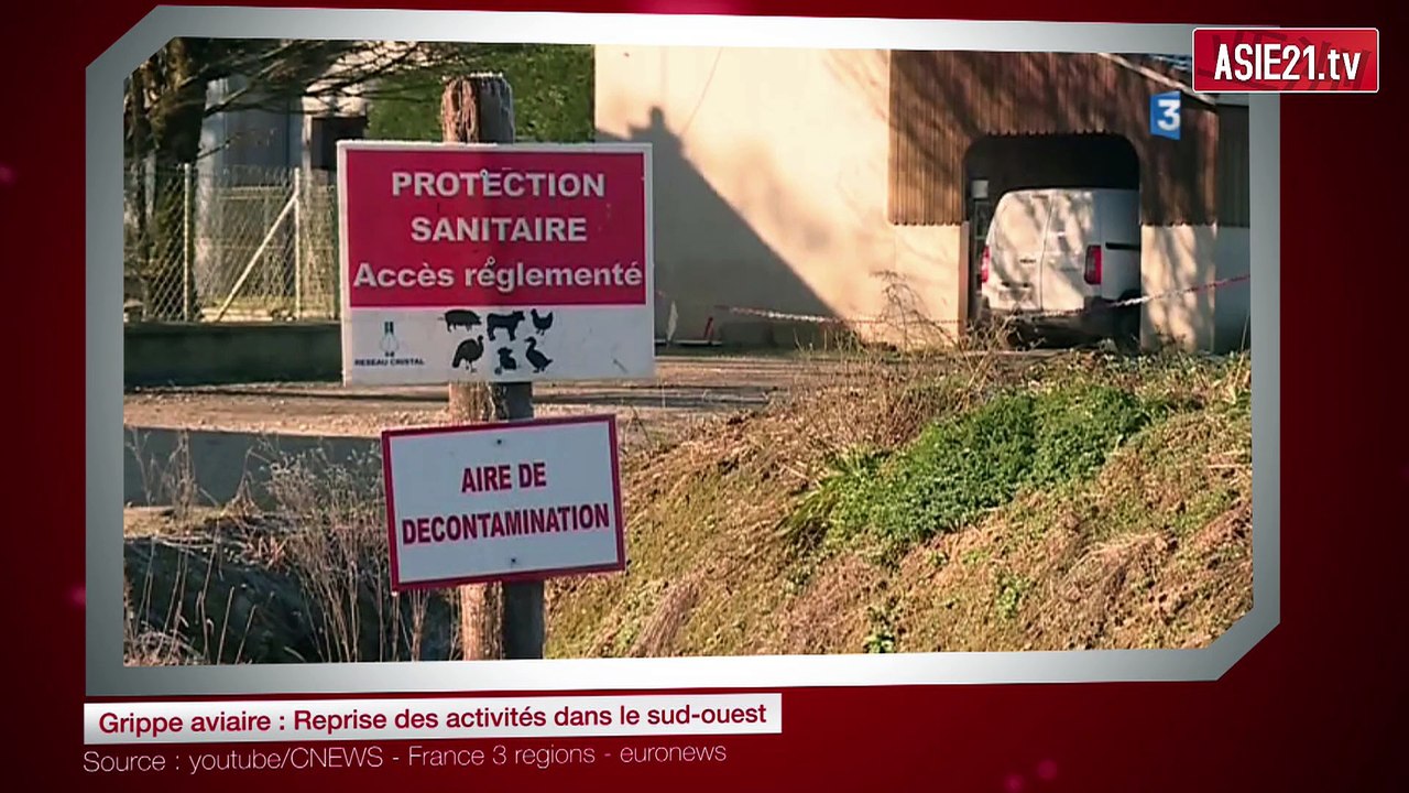 Grippe aviaire : Reprise des activités dans le sud-ouest