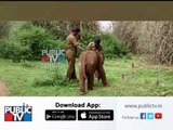 baby elephant rescued near Anekal