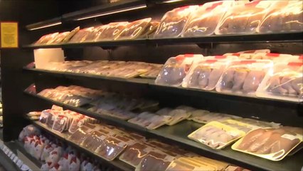 حملة جديدة لمقاطعة لحوم الدواجن بالأردن