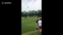 Sunday league footballer scores absolute belter of a free-kick in cup final