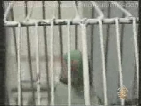 Un perroquet qui recite le coran (al jazeera)