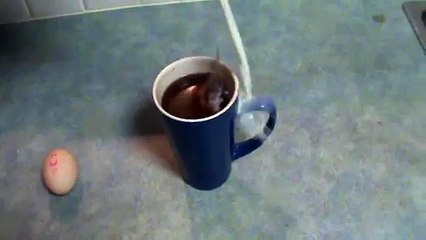 How To Correctly Add Milk to Your Coffee