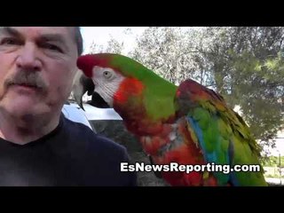 Seckbach Meets A Very Smart Parrot - esnews