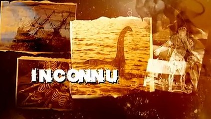 Bizarre ou quoi  [VF] - S01E10 - saison 1 - épisode 10 - Dailymotion [FINAL] (version internationale