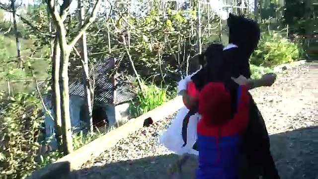 Frozen Elsa BUTT FAIL TOUCH ❤ Spiderman! w/ Frozen Anna Maleficent FUN IRL Superhero in Re