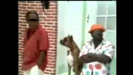 Só quadros do  Mussum "Casis mordeu minha sogra " ( Os Trapalhões)