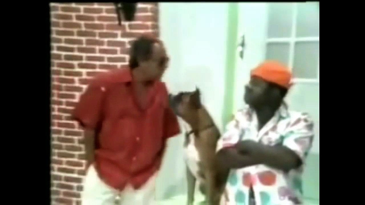 Só quadros do  Mussum "EM Minha SOGRIS morreu"  ( Os Trapalhões)