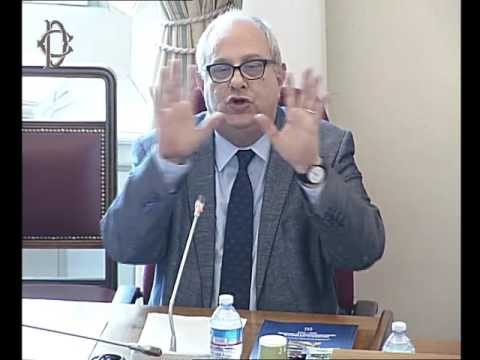 Roma - Cooperazione allo sviluppo 2016-2018, audizione viceministro Giro (30.05.17)