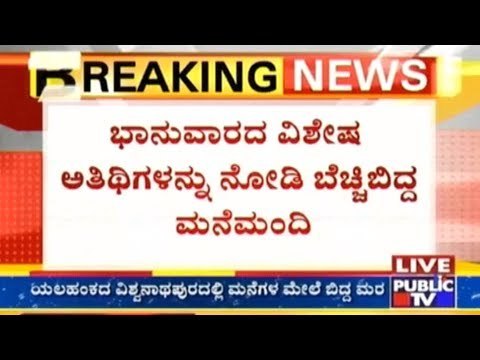 Bangalore: Cobras Gush Into Houses Through Overflowing Drainages In Begur