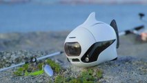Capture perfect Insta-worthy underwater selfies with this bionic fish