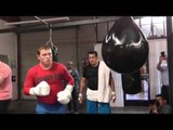 canelo vs cotto canelo on aqua bag - EsNews Boxing