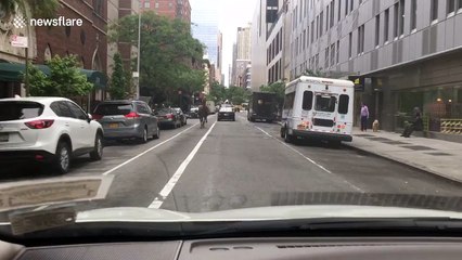 Horse runs loose in the streets of New York City