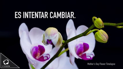 Viajar - Gabriel García Márquez