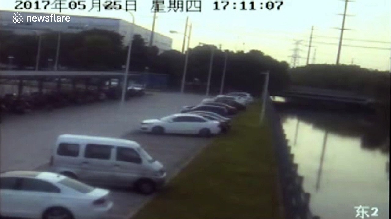 Good Samaritan rescues driver fallen into river