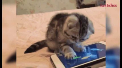 Retour sur les 30 ans du GIF... en GIFs