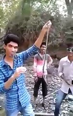Don't play with snake..it will cost your life