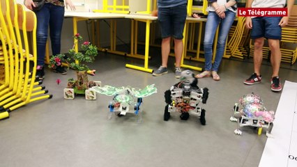 Lorient. RoboFesta : 240 collégiens et lycéens en compétition