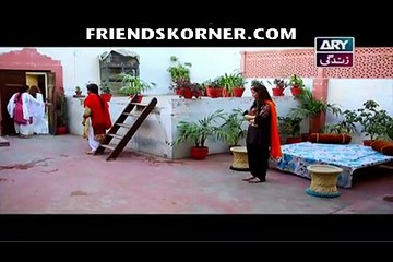 Haya Ke Rang Episode 95 - Unmissable Drama Moments 🎬