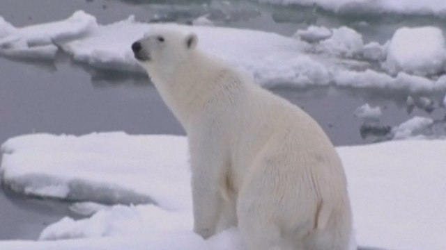 Donald Trump pulls US out of Paris climate agreement