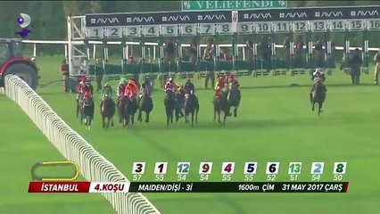 Veliefendi'de jokeyin zor anları