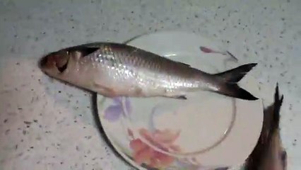 How To Make Fish and Chips