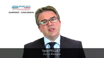 Législatives 2017. Yann Pelliet : 8e circonscription du Finistère (Quimperlé-Concarneau)
