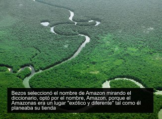 Carlos Luis Michel Fumero: Historia de Amazon