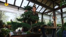 擇天记 EP53